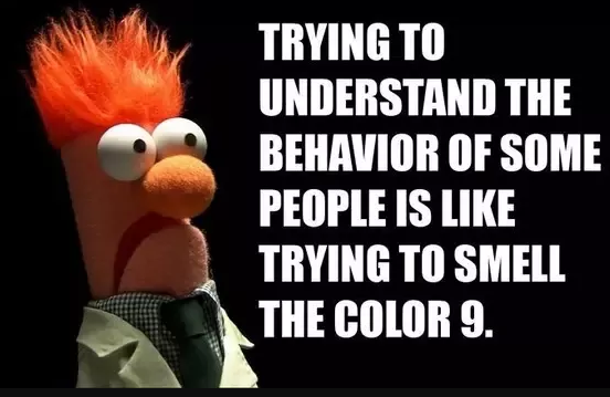 Stupidity.png